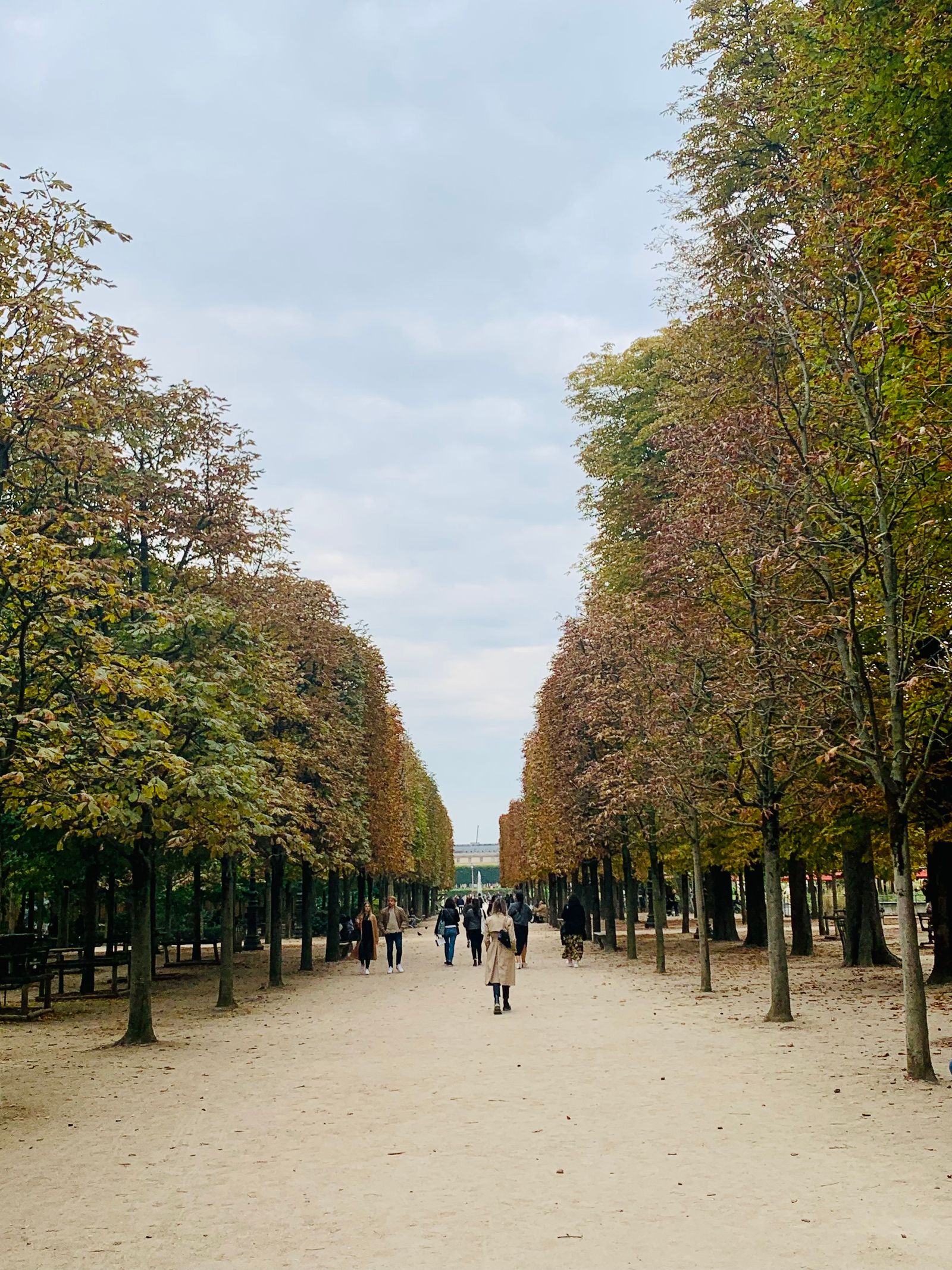 A tree-lined park avenue with walkers on the path.